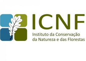 Centro Nacional de Reprodução de Lince-ibérico procura voluntários 