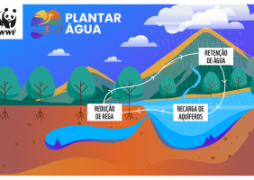  PLANTAR ÁGUA RENASCE PARA MELHORAR O CICLO DA ÁGUA NO ALGARVE