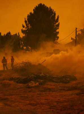 Fogos já consumiram mais de 172 mil hectares este ano, 32 mil entre sábado e domingo
