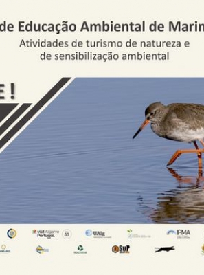 Caminhadas, passeios de barco e oficinas no Dia Aberto que celebra os 47 anos do Parque Natural da Ria Formosa 
