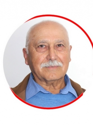 A APANHA DE AZEITONAS