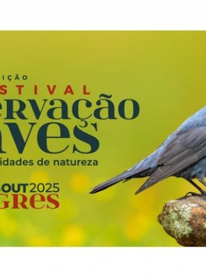 Abrem hoje as inscrições para o maior festival de aves e natureza do país