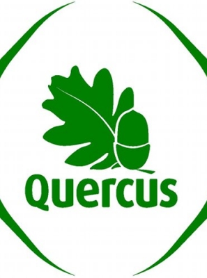 Quercus distingue 425 praias com «Qualidade de Ouro», mais cinco do que em 2024