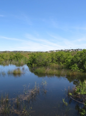 ESPÉCIES AMEAÇADAS NA FOZ DO ALMARGEM: MUNICÍPIO DE LOULÉ APRESENTA QUEIXA CONTRA PREVARICADORES