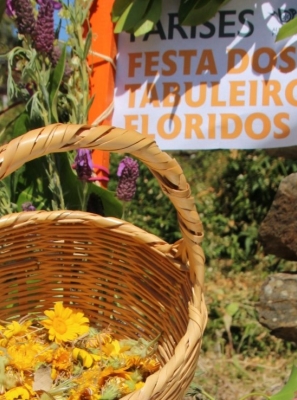 FESTA DOS TABULEIROS FLORIDOS VOLTA A ANIMAR A ALDEIA DE PARISES COM PROPOSTAS PARA TODA A FAMÍLIA