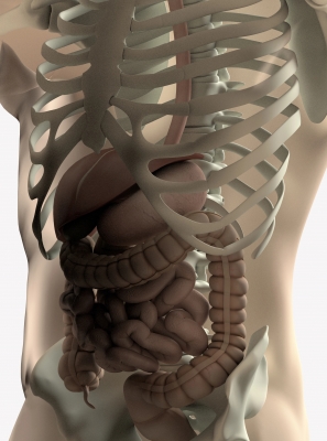 É preciso mais sensibilização e apoio para as pessoas com Síndrome do Intestino Curto