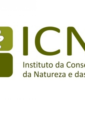 Centro Nacional de Reprodução de Lince-ibérico procura voluntários 