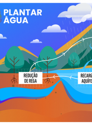  PLANTAR ÁGUA RENASCE PARA MELHORAR O CICLO DA ÁGUA NO ALGARVE