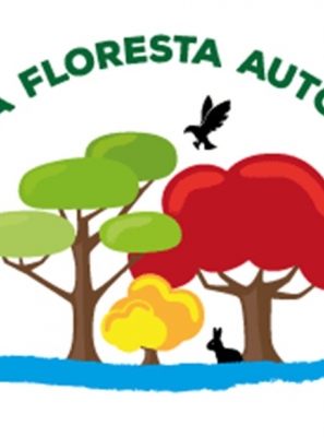 REPLANTAR A FLORESTA AUTÓCTONE JÁ – PARA DOMESTICAR OS FOGOS ATÉ 2050