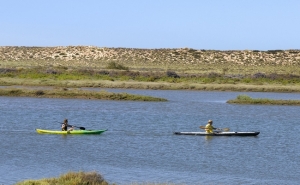 MERCADO INTERNO CRESCE 24,4% NO ALGARVE