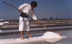 Uma conversa sobre o sal