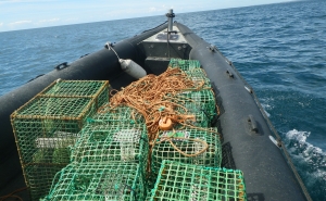 Polícia Marítima de Lagos fiscaliza atividade da pesca profissional