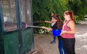 «Praxe solidária» levou caloiros a ajudar no serviço alimentar franciscano aos pobres