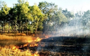 Atenção: Queimadas estão proibidas até 30 de Setembro