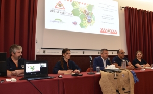 PROTEÇÃO CIVIL DE LOULÉ PROMOVE SESSÃO INFORMATIVA SOBRE VESPA VELUTINA