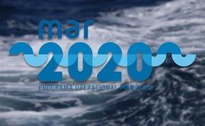 Aberto concurso de candidaturas a fundos do MAR2020