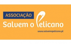 Associação Salvem o Pelicano recebida por ministra das Finanças sobre Montepio