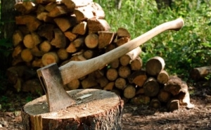 Homem morto à paulada por amigo em Alvor.