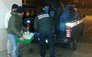 Polícia Marítima apreende arrastão no Algarve com 900 kg de pescado apanhado ilegalmente