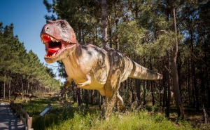 Venha visitar os dinossauros em Albufeira