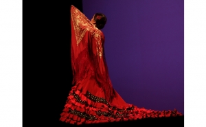 Arte Flamenco traz salero andaluz ao palco do Auditório Municipal de Olhão