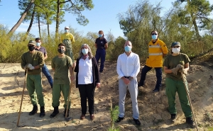 Município de VRSA planta uma centena e meia de árvores na mata nacional