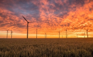 Algarve sob pressão: nova vaga de projetos eólicos e solares ameaça biodiversidade