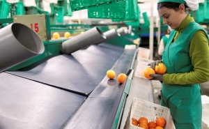 CRESC ALGARVE 2020 apresenta Linha Capitalizar Mais