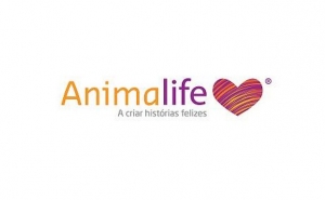 No Dia Internacional da Família, a Animalife lembra: ignorar os laços com os animais é ignorar a saúde emocional de milhares de portugueses