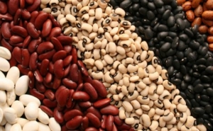 SEMINÁRIO «AS LEGUMINOSAS E A DIETA MEDITERRÂNICA»