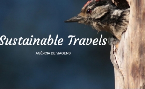 EXISTE UMA NOVA AGÊNCIA DE VIAGENS NO ALGARVE E APOSTA NO TURISMO SUSTENTÁVEL