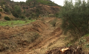CÂMARA MUNICIPAL DE SILVES PROMOVE TRABALHOS DE LIMPEZA DE LINHAS DE ÁGUA