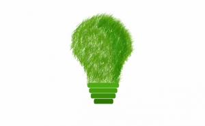 5 razões para aderir à eletricidade verde da Goldenergy