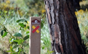 Lagos apoia ações de valorização e dinamização da Via Algarviana