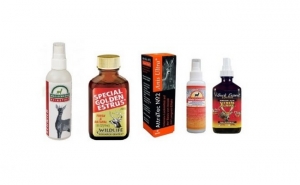 Caça: DGAV relembra proibição de importação de iscos com urina de veado