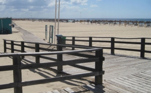 Autoridade Marítima apoia atividade da «Raríssimas» e leva à praia 10 crianças com doenças raras