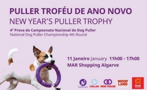 MAR Shopping Algarve diz «woof» ao novo ano com competição dedicada ao desporto canino