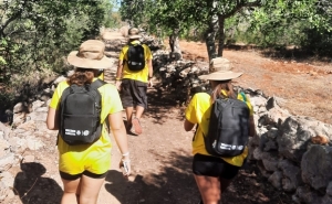 JOVENS DO CONCELHO DE LOULÉ VIGIARAM A FLORESTA DURANTE AS FÉRIAS