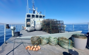 Navio da Marinha deteta e recolhe mais de 50 armadilhas no Parque Natural Marinho do Recife do Algarve – Pedra do Valado