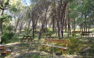 MUNICÍPIO DE LAGOS PARTICIPA NA CONSTITUIÇÃO DO DECIR/2018