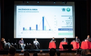 MUNICÍPIO DE LOULÉ FAZ «BALANÇO POSITIVO» DOS INCÊNDIOS RURAIS NO CONCELHO