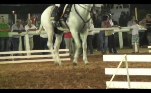 Jornada de Atrelagem da Zona Sul