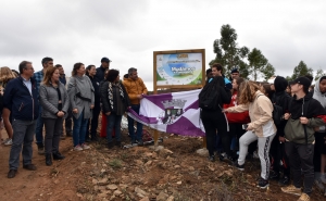 OPERAÇÃO MONTANHA VERDE 2019: MAIS DE 5500 ÁRVORES  PLANTADAS NO CONCELHO DE LOULÉ