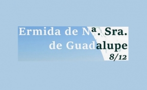 Performance 7 Ventos