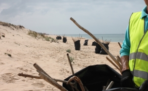 Ação de limpeza entre as praias da Quinta do Lago e do Ancão 