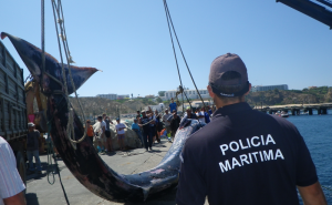Baleia morta dá à costa em Sagres