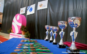 Resultados do Campeonato Nacional 1ª Divisão de Ginástica Rítmica