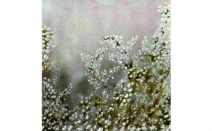 Exposição VEGETAL DEVANEIO