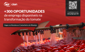 Clan tem mais de 300 oportunidades de emprego para Castanheira do Ribatejo e Marateca