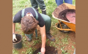 DIA DA FLORESTA AUTÓCTONE ASSINALADO EM LOULÉ COM SENSIBILIZAÇÃO PARA A SUA PRESERVAÇÃO